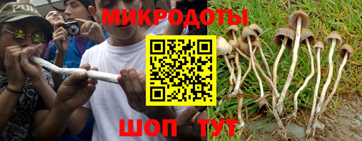 Галлюциногенные грибы прущие грибы  купить наркотик  Димитровград  Вход с VPN  Галлюциногенные грибы прущие грибы 